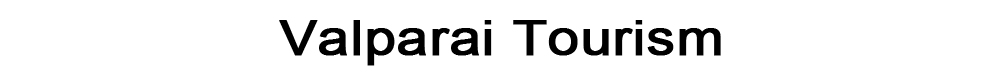 Top Baner